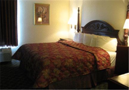 The Antonian Hotell San Antonio Rum bild