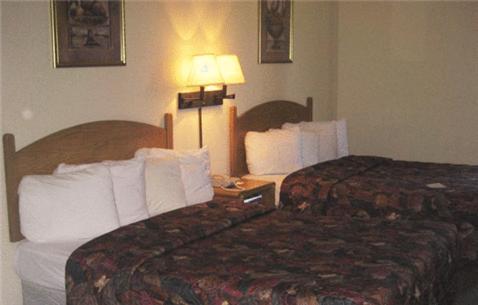 The Antonian Hotell San Antonio Rum bild